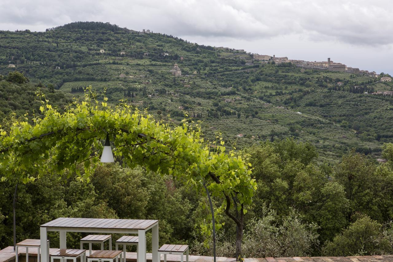 Villa Pomona Cortona Kültér fotó